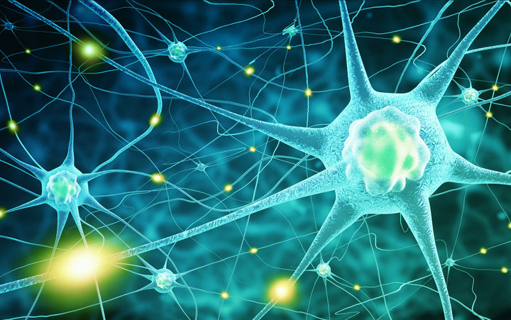 Neuroni - Identificato nuovo percorso neurobiologico nel disturbo bipolare